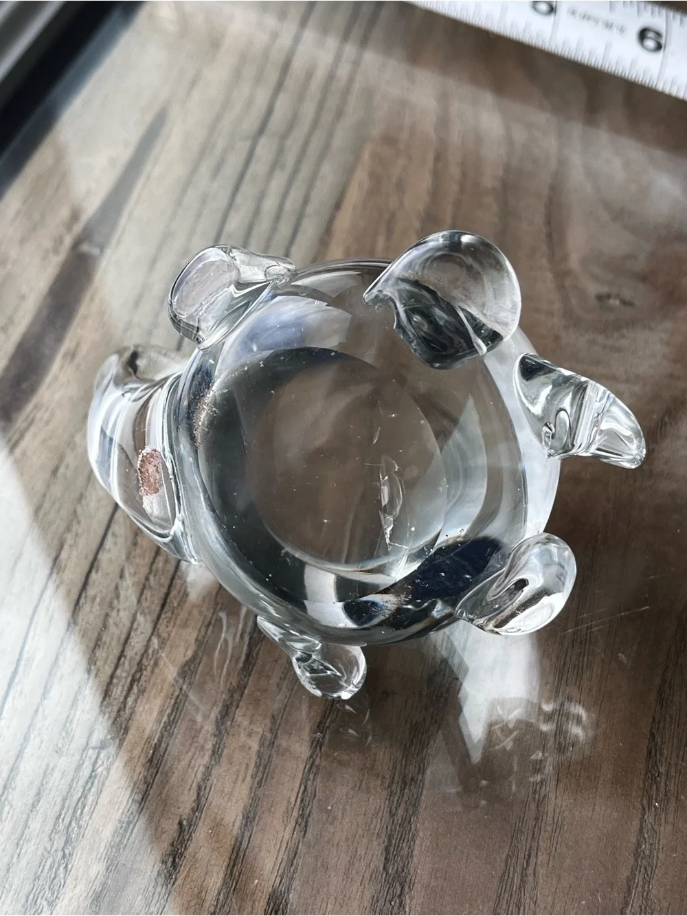 Clear Glass Turtle Decorative Paperweight - Home Accents